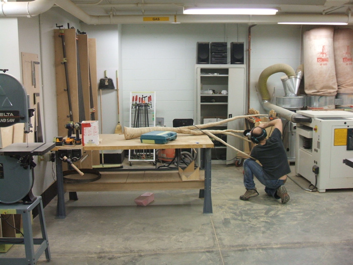 christopher robbins, plywood tree   2601.JPG