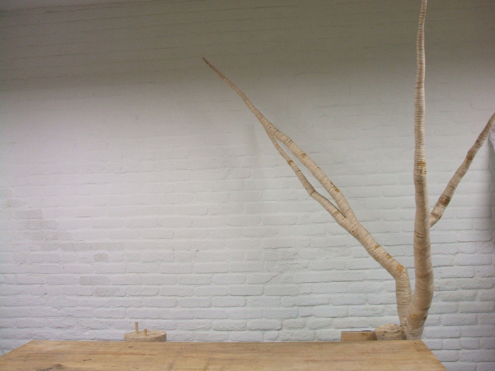 christopher robbins, plywood tree   2609.JPG