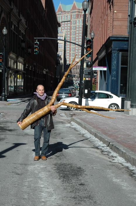 christopher robbins, plywood tree   0224.JPG