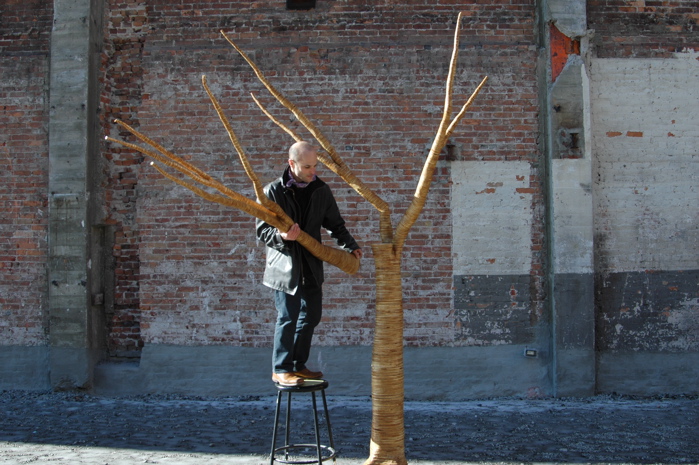 christopher robbins, plywood tree   0189.JPG