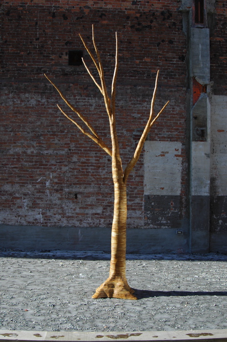 christopher robbins, plywood tree   0018.JPG