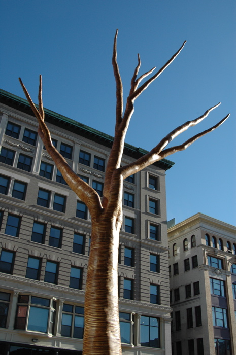 christopher robbins, plywood tree   0023.JPG