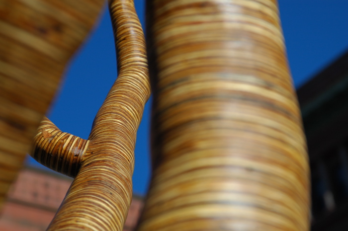 christopher robbins, plywood tree   0082.JPG