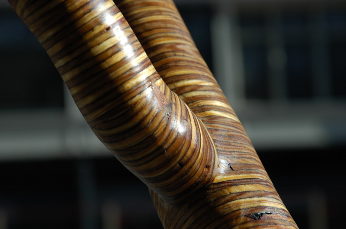 christopher robbins, plywood tree   0096.JPG