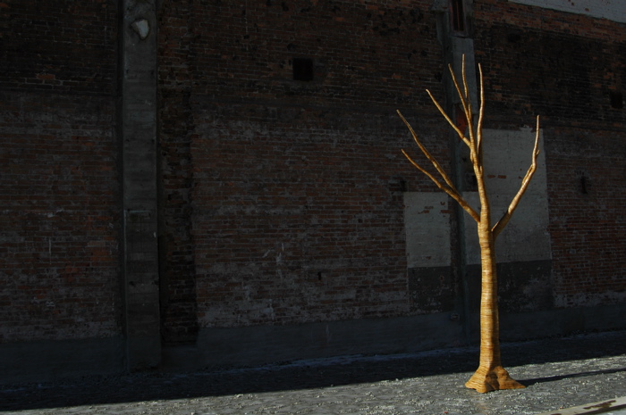 christopher robbins, plywood tree   0164.JPG