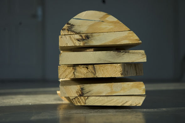 milling the plywood tree